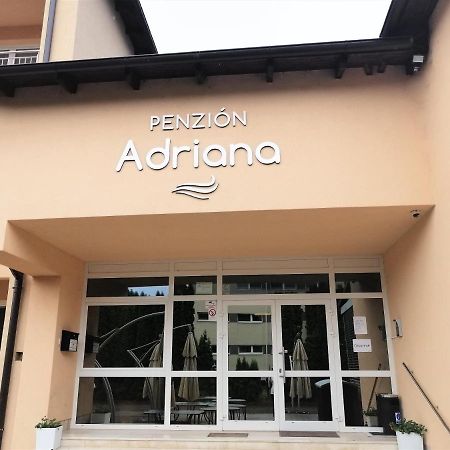 Penzion Adriana Nové Mesto nad Váhom Esterno foto